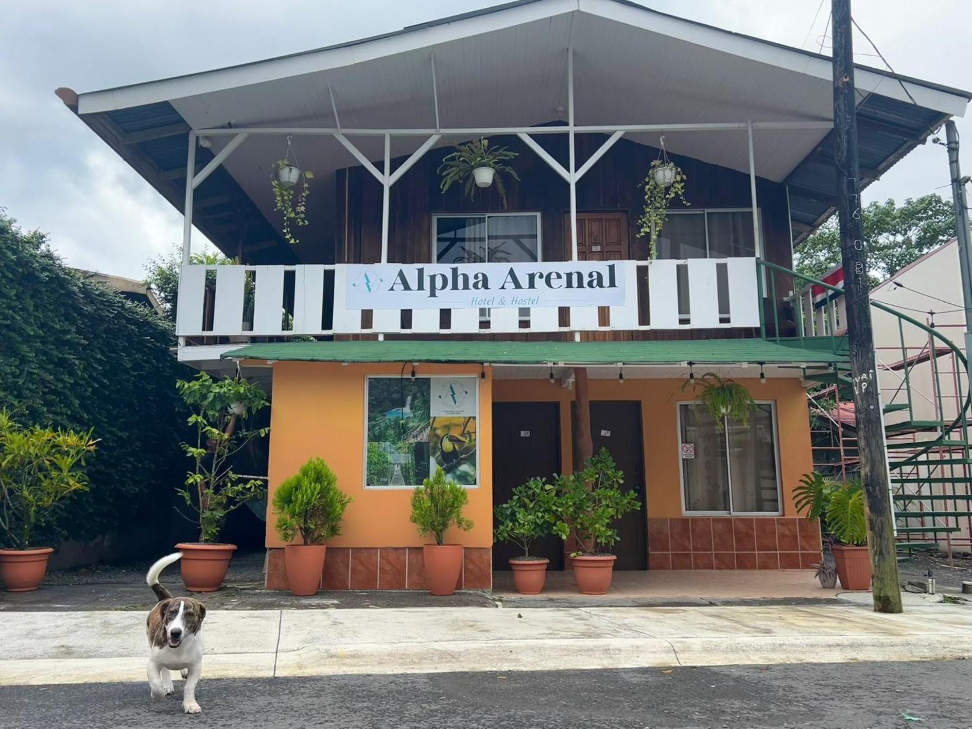 Alpha Arenal Hostel La Fortuna ภายนอก รูปภาพ